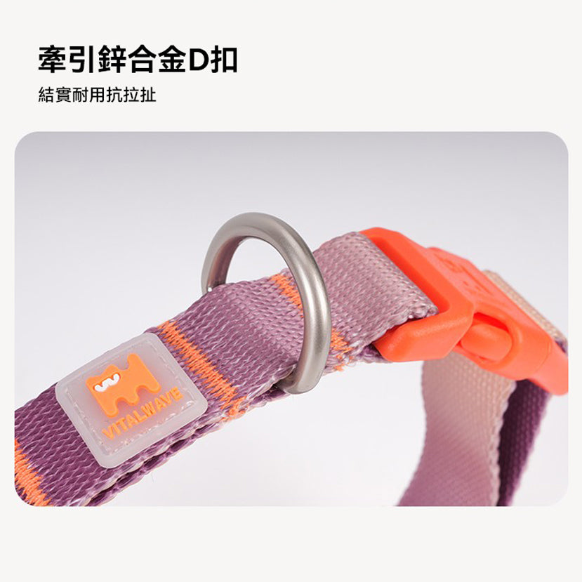 夢幻漸變套裝