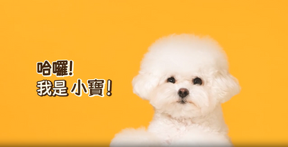 寵物紅外線光療墊-加長款